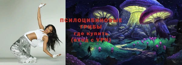 эйфоретик Богородицк