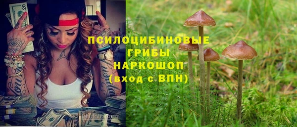 эйфоретик Богородицк