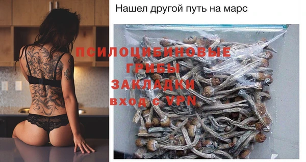 а пвп мука Богданович