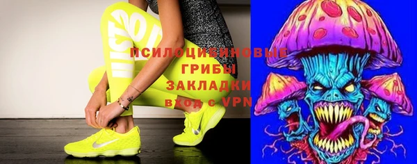 синтетический гашиш Богородск